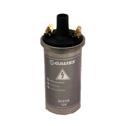 [29GC4139] BOBINA ENCENDIDO ELECTRONICO TIPO BOTELLA UNIVERSAL 12V PLATEADA 2 P